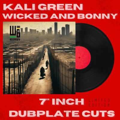 Wicked and Bonny feat. Kali Green - Them building borders