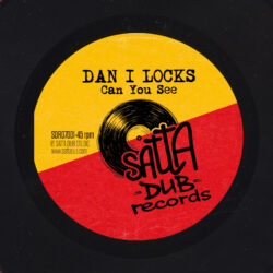 Can You See - Dan I Locks